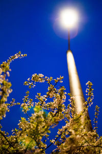 Low angle view of trees against clear blue sky