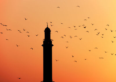 Low angle view of silhouette birds flying against clear sky during sunset