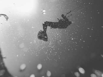 Close-up of water drops