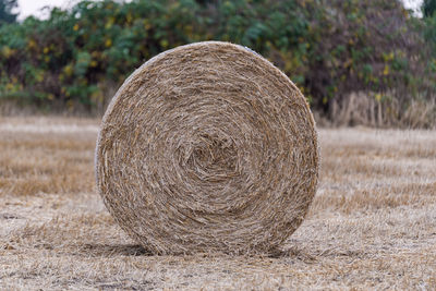 Color image climate field of round straw bales in germany