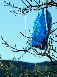 Low angle view of bird on twig against clear blue sky