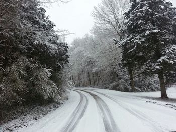 Road amidst trees during winter