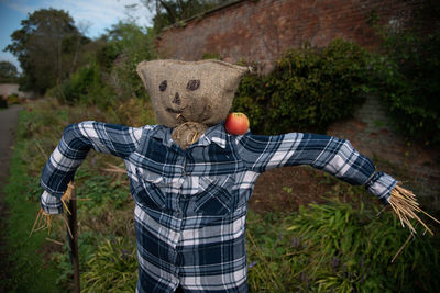 Scarecrow on land