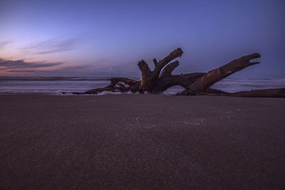 Surface level of driftwood on beach against sky