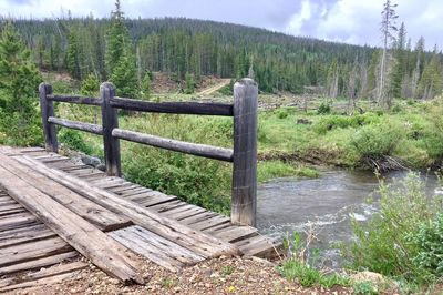 Scenic view of river in forest against sky