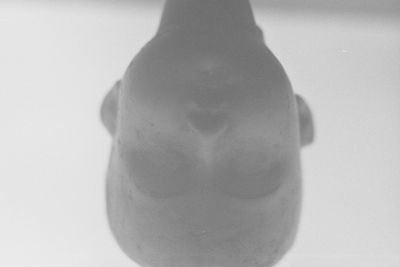 High angle view of drinking glass on table against white background