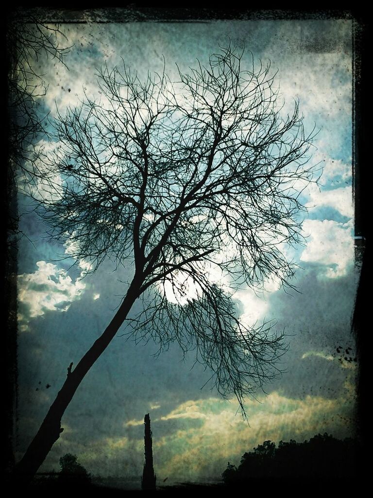 bare tree, transfer print, sky, silhouette, tree, cloud - sky, low angle view, auto post production filter, branch, tranquility, cloudy, nature, cloud, tranquil scene, beauty in nature, scenics, dusk, sunset, outdoors, no people