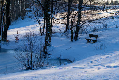 Bare tree on snow covered landscape