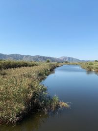 Scenic view of lake against clear blue sky