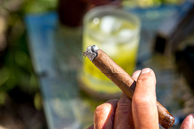 Close-up of hand holding lizard