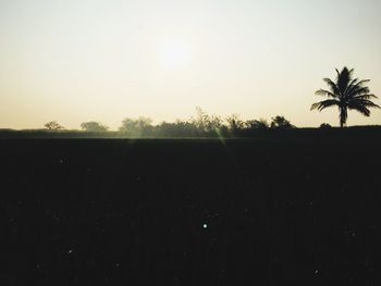 Silhouette trees on field against clear sky