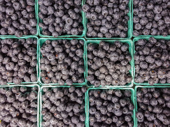 Full frame shot of blueberries in containers at market