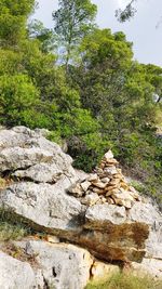 Stack of rocks by trees in forest