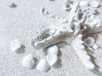 High angle view of snow on sand
