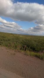 Scenic view of field against sky