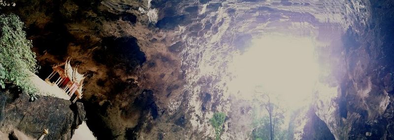 Panoramic shot of trees against sky