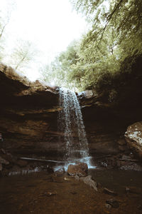 Scenic view of waterfall in forest