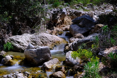 River flowing through rocks in forest