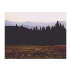 Scenic view of field against sky during autumn