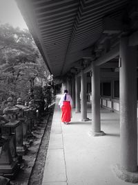 Rear view of woman standing by railing