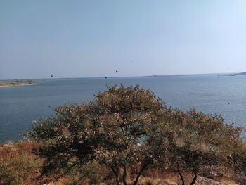 Scenic view of sea against clear sky