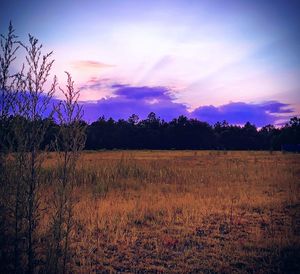 Scenic view of field against sky during sunset