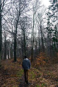 Rear view of man walking in forest