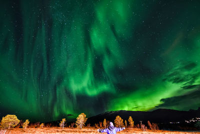 Rear view of person standing against northern lights at night