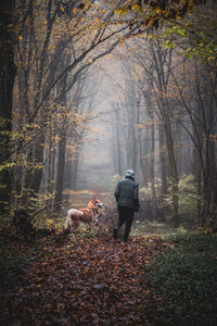 Rear view of man and dog walking in forest