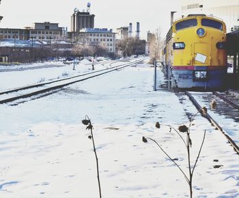 Snow covered landscape