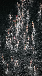 High angle view of people swimming in water