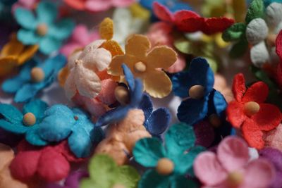 Close-up of multi colored candies