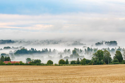 Beautiful landscape view with morning fog in the countryside