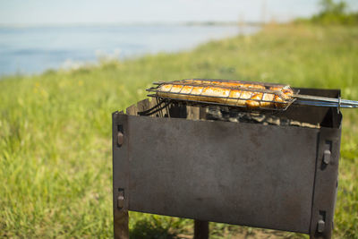 Metal structure on field by sea