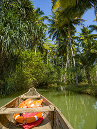 Scenic view of lake by trees