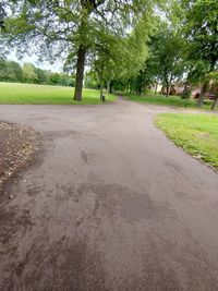 Empty road in park