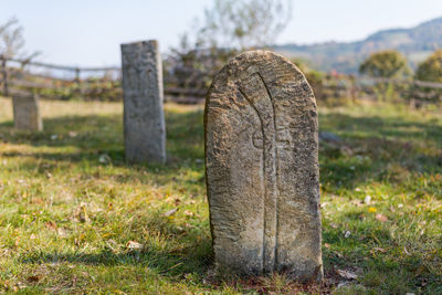 Close-up of stone on field