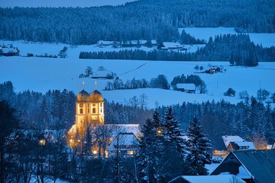 Trees and houses on snowcapped mountains during winter