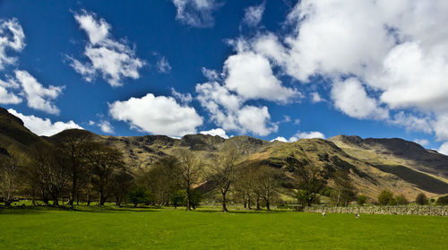 View of trees on landscape against cloudy sky