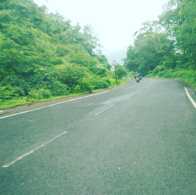 transportation, the way forward, road, tree, road marking, diminishing perspective, country road, vanishing point, asphalt, street, clear sky, land vehicle, mode of transport, sky, car, empty road, empty, green color, day, outdoors