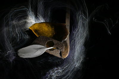 Close-up of rusty metal with feather over light painting against black background