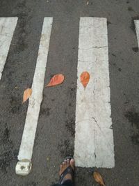 Low section of person with arrow sign on road