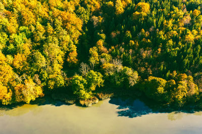 Aerial view of autumn forest in south styria green hart of austria. view at hiking paths 