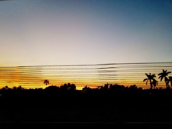 Silhouette trees against clear sky during sunset