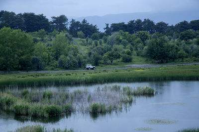 Scenic view of lake by trees against sky