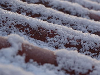 Close-up of snow