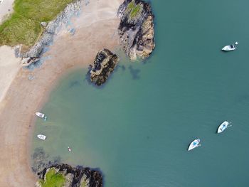 High angle view of crab on rock