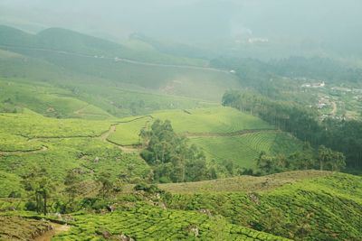 Scenic view of green landscape