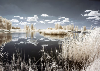 Scenic view of lake against sky