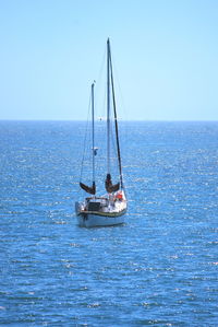 Sailboat sailing in sea against clear sky